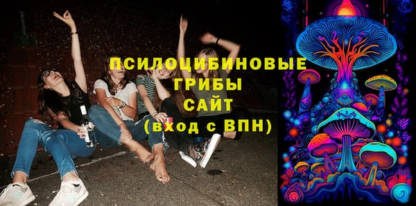 ГАЛЛЮЦИНОГЕННЫЕ ГРИБЫ Аркадак