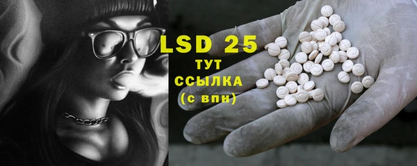 ГАЛЛЮЦИНОГЕННЫЕ ГРИБЫ Аркадак