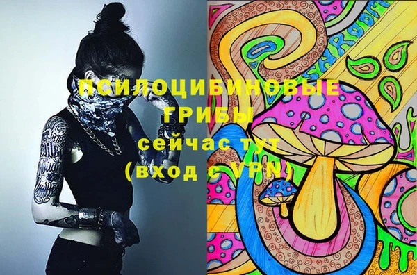 ГАЛЛЮЦИНОГЕННЫЕ ГРИБЫ Аркадак