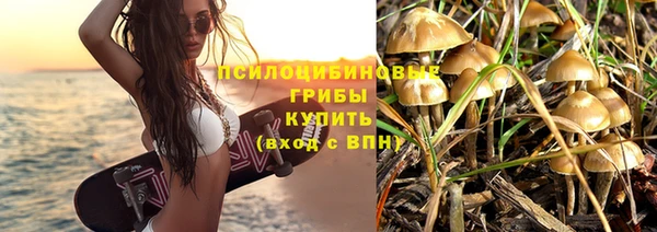 ГАЛЛЮЦИНОГЕННЫЕ ГРИБЫ Аркадак
