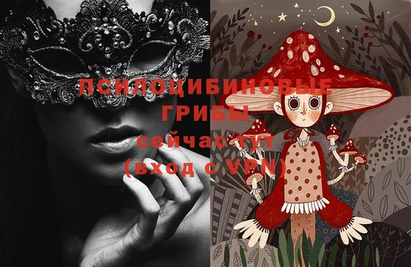 ГАЛЛЮЦИНОГЕННЫЕ ГРИБЫ Аркадак