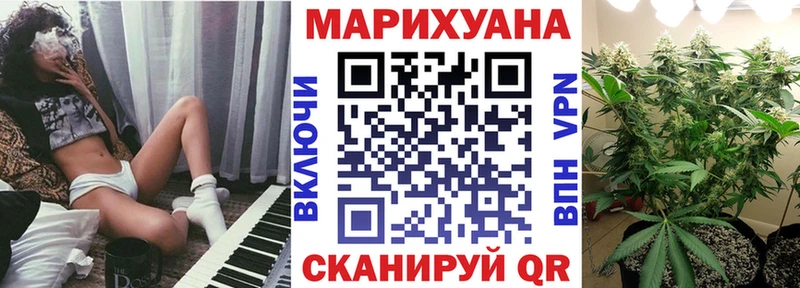 Шишки марихуана тримм как найти закладки Павловский Посад